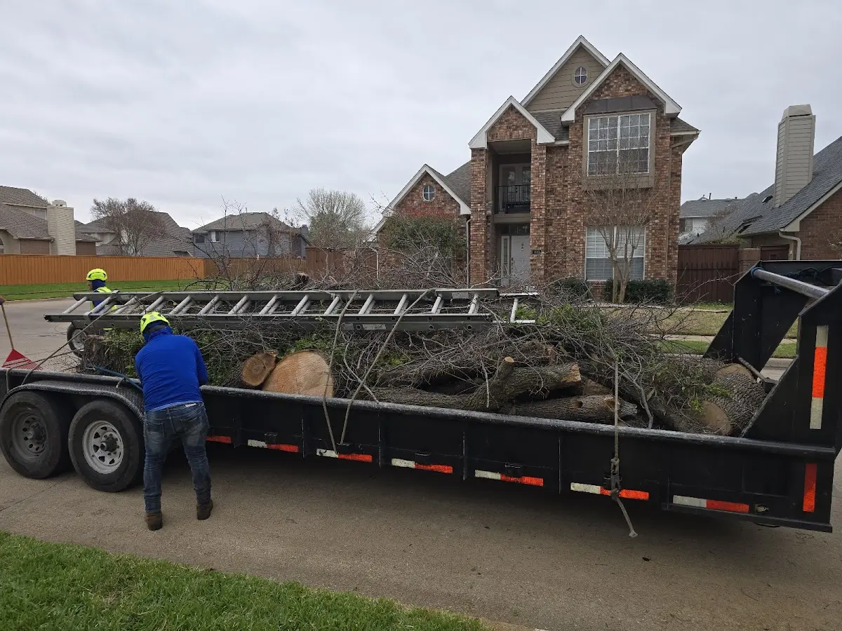 Expert Crown Reduction with proper safety equipment in Pacolet